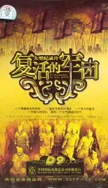 复活的军团 2004 An Army Reborn 中国大陆 豆瓣:9.0