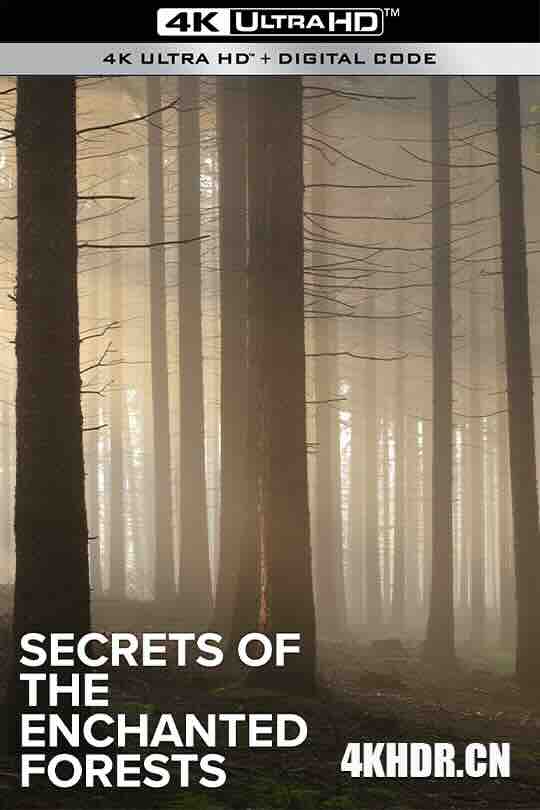 魔法森林的秘密 Secrets of the Enchanted Forests Season 1 (2023) / 4K纪录片下载 / Secrets.of.the.Enchanted.Forests.S01.2023.2160p.UHDTV.H265.AAC[中字]