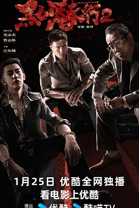 黑白潜行2 2025 The Grey Men Ⅱ [中国大陆] 豆瓣：