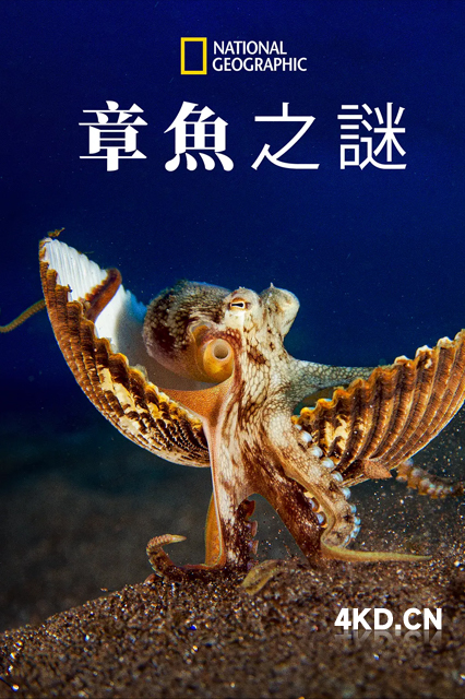 章鱼的秘密 2024 Secrets of the Octopus 章鱼之谜 澳大利亚 美国 豆瓣:8.4