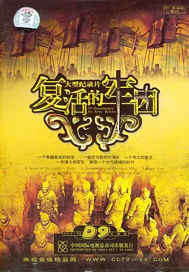 复活的军团 2004 An Army Reborn 中国大陆 豆瓣:9.0